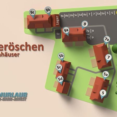 Willa Heideroeschen Park Heideroeschen 5C Zingst Zewnętrze zdjęcie